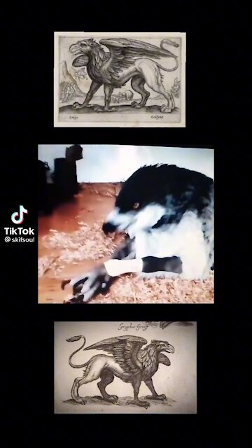 Babylonian creature?