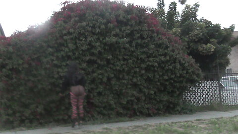 Streets of figueroa Los Angeles