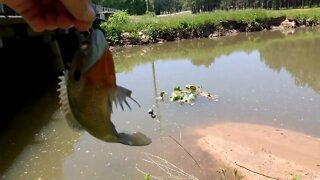 Road Side Fishing