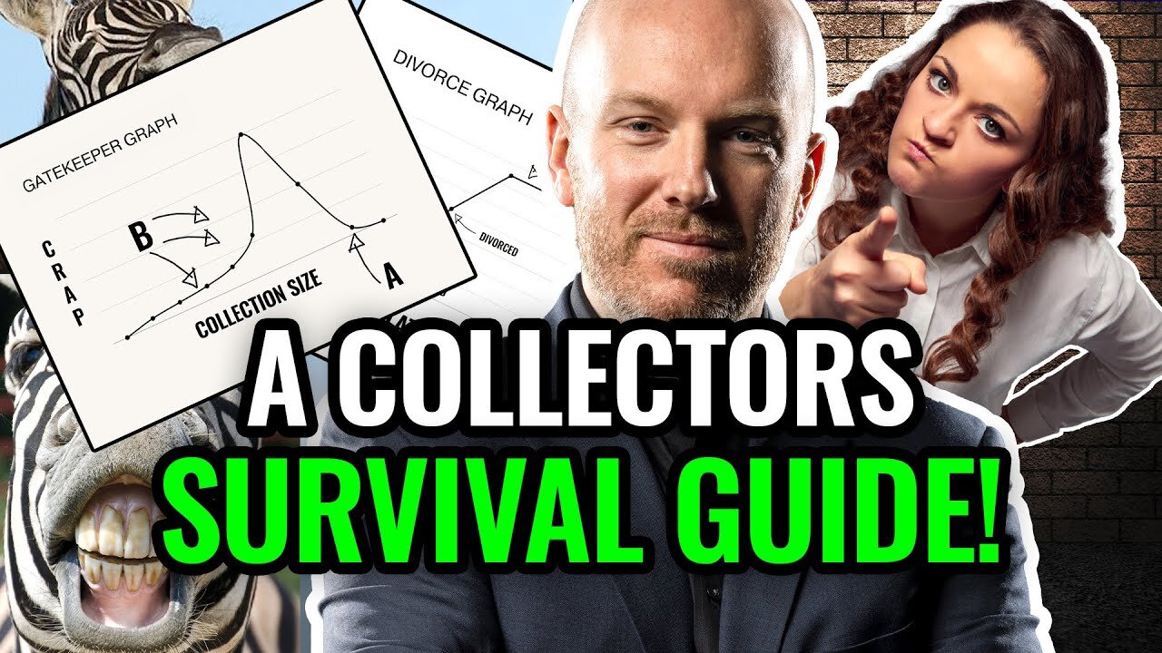 Zebra Camouflage: A Collectors Survival Guide