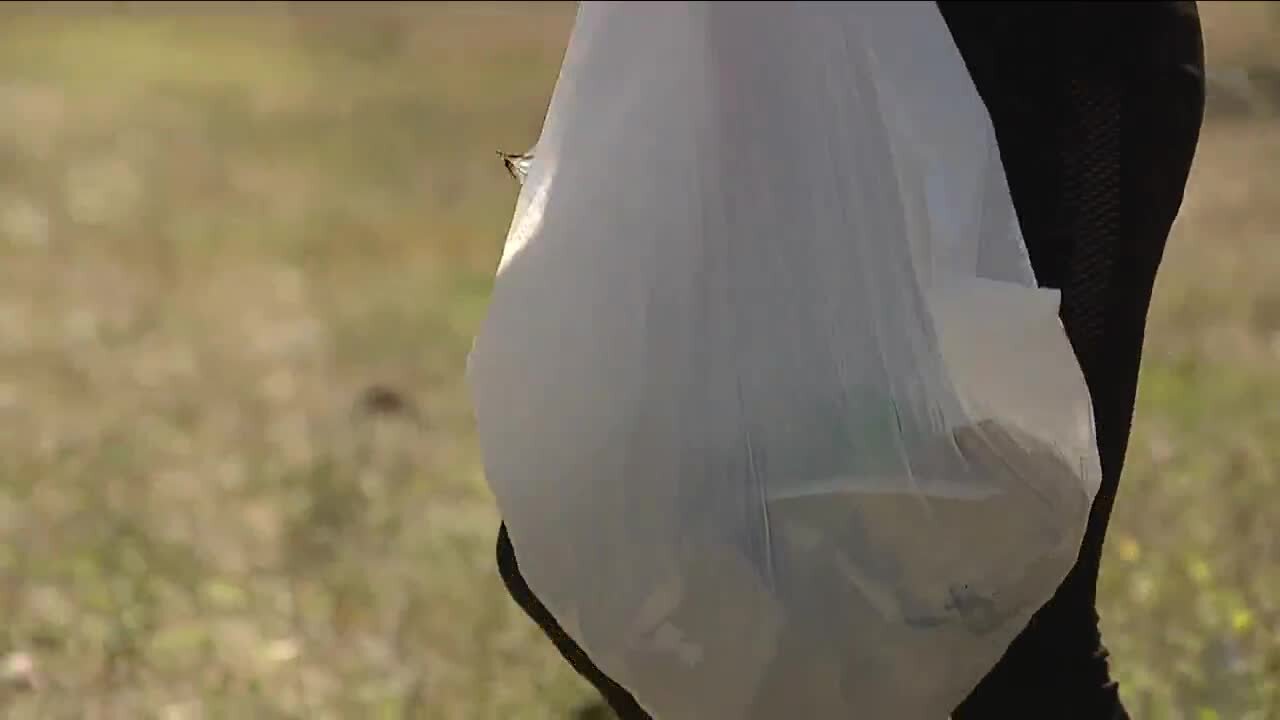 Family hits the streets to clean up trash for Earth Day in Cape Coral