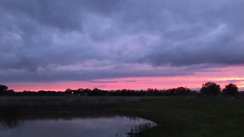 Relaxing Nature Sunset | Prairie Sounds | Birds Singing | Frogs | Rural Evening | Meditation | ASMR