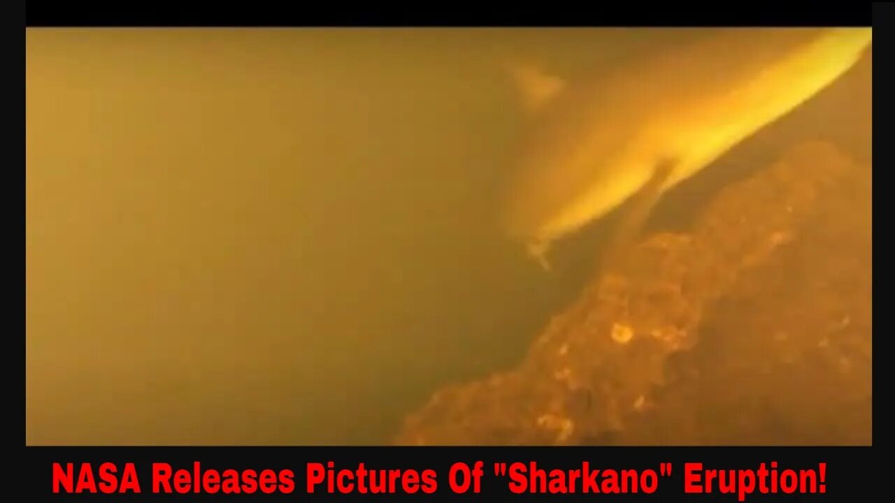 Underwater Volcanic Crater Erupts Full Of Sharks And Fish!