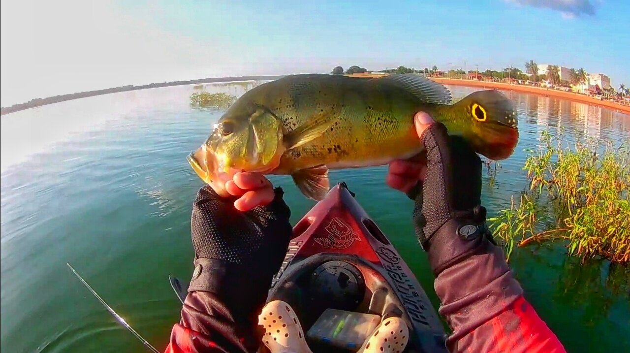 #14 Fishing Peacock Bass - Ultralight Reel Style - Kayak Fishing - Pesca de Tucunaré