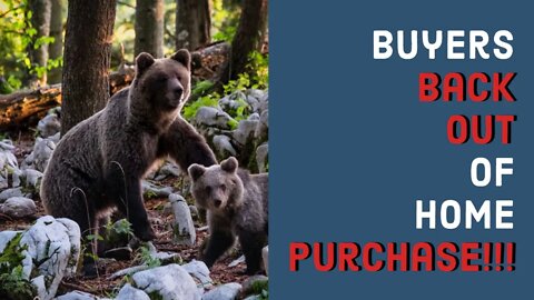 Buyers Scared Out of Buying Home Because of BEAR - PYIYP Clips