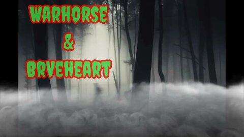 What Is On Our Property ? Night Investigation