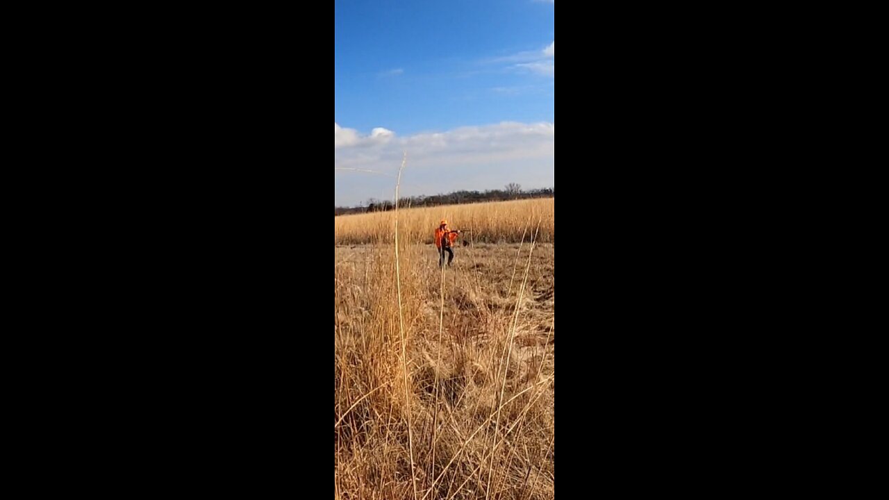 Catch it Sami!