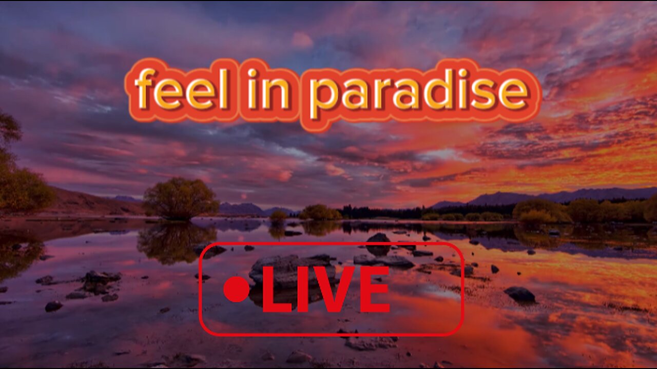 FEEL IN PARADISE