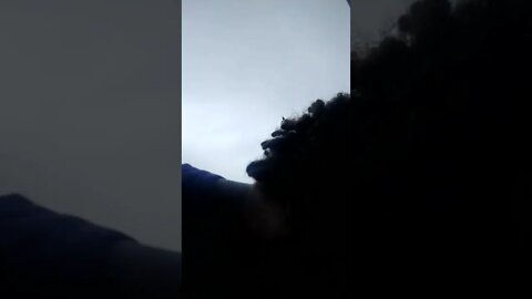 Black Volvo #gangstalking #humantrafficking