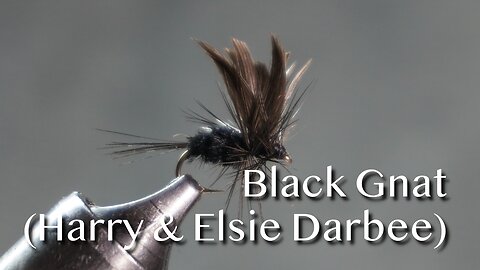 Black Gnat as tied by Harry and Elsie Darbee