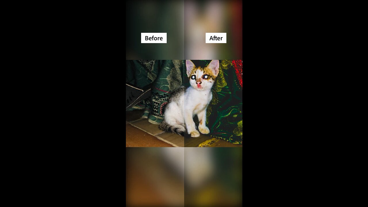 Lightroom before and after editing effects