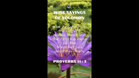 Proverbs 11:3 | Wise Sayings of Solomon