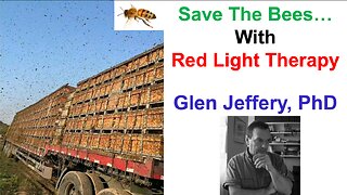 Save The Bees...With Red Light Therapy