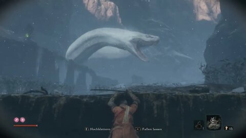 Sekiro in Tal der Gottes Schlange