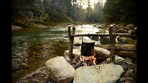 Primitive Cooking Wildlife, ASMR Cooking Food, Survival skills // Cooking in nature