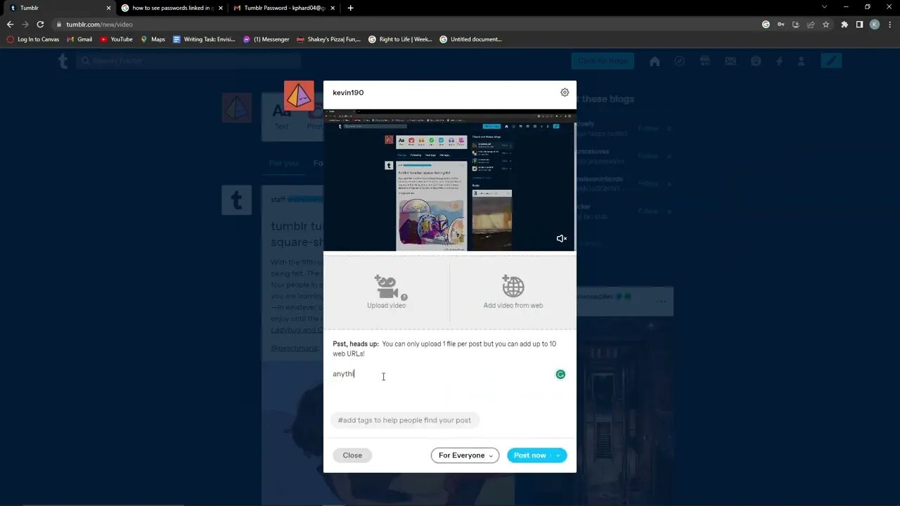How To Post Videos On Tumblr (2023)