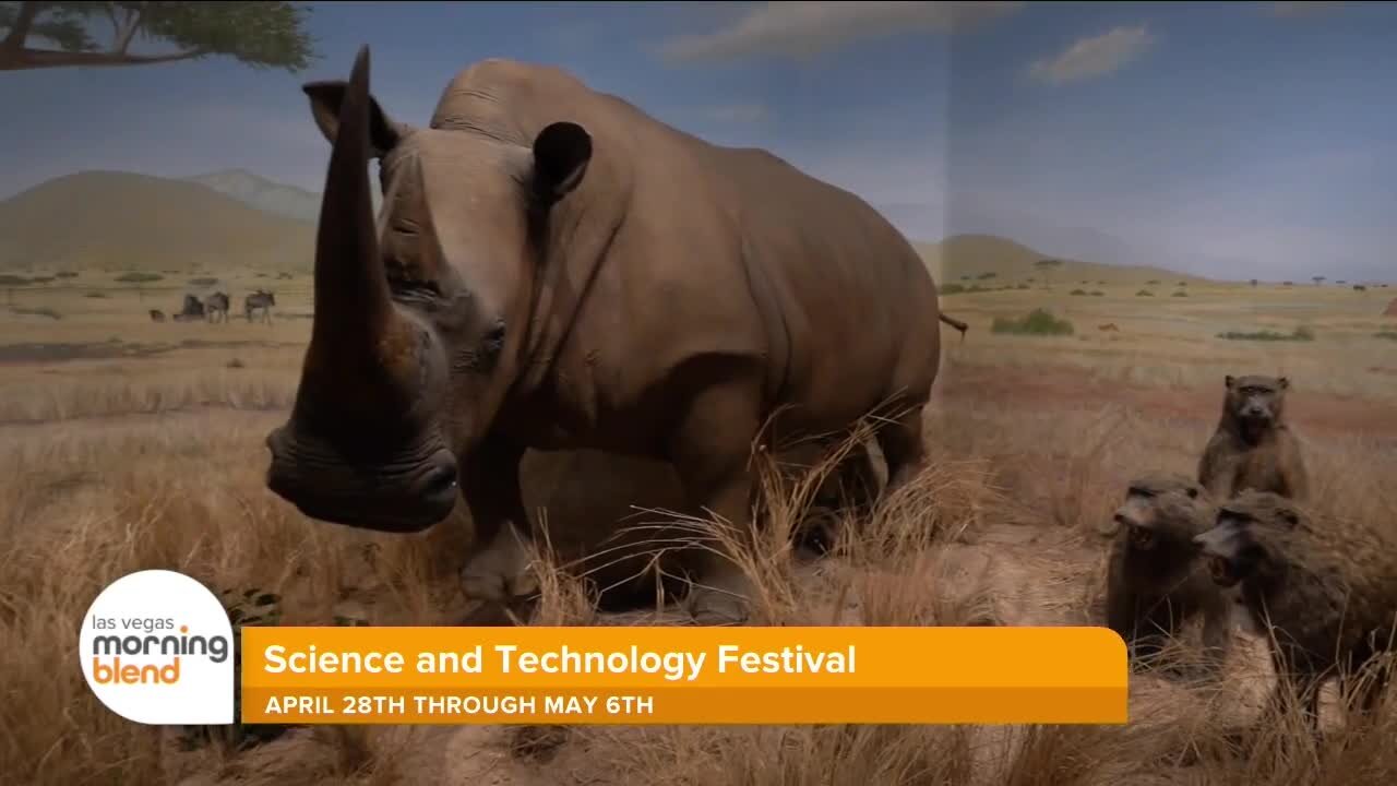 Museum Mondays: Las Vegas Natural History Museum