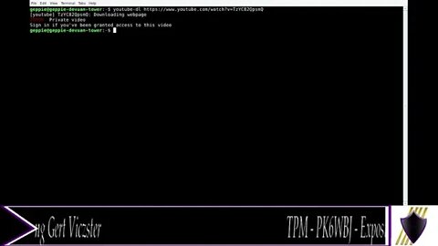 TPM - PK6WBJ - Gert Viczster's hidden videogate