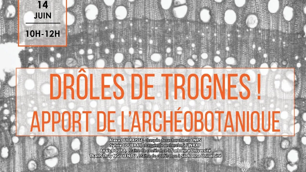 Drôles de Trognes : Apport de l'archéobotanique