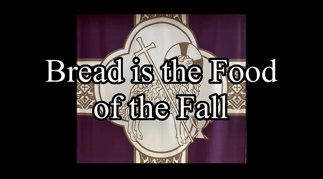 2023.02.26 – Bread Is the Food of the Fall