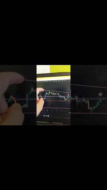 XRP RIPPLE - Crypto Trading #shorts