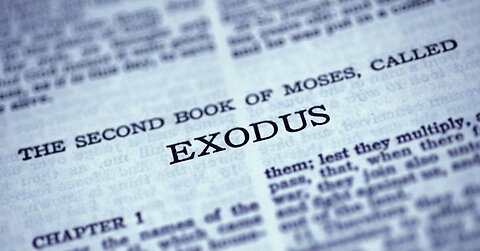 Exodus 8b | The Plague of Flies || Pastor Aaron Thompson