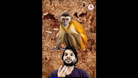 भगवान राम ने क्या वरदान दिया बंदरों को _😳 #shorts #ytshorts by #arvindarora (1)