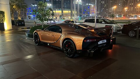 guess the owner 🐉