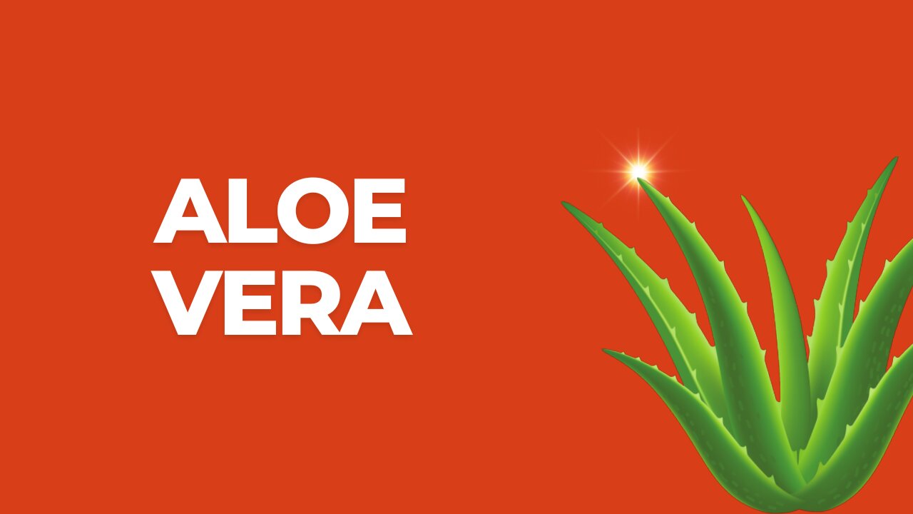 Aloe Vera - Informazioni e Curiosità