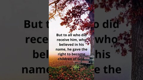 HIS CHILDREN BELIEVE IN HIS NAME | MEMORIZE HIS VERSES TODAY | John 1:12