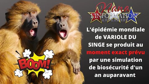 Nana l'information Autrement- J'AI ATTRAPÉ LE PUSTULE DE BANANE - MONKEY BUSINESS !