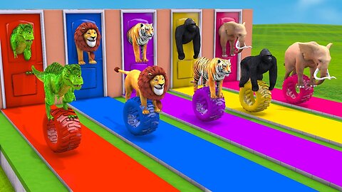 Cleaning Cows Hippo Mammoth Elephant Tiger Gorilla bears chickens sheep buffalo Animals Egg Game #1