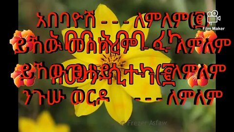 #happy_new_year Year - Enkutatash - አበባዮሽ - 2015