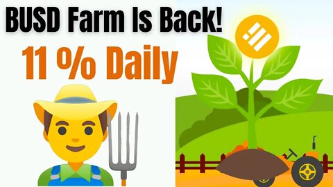 BUSD Farm Is Back! Earn 11% Daily in BUSD