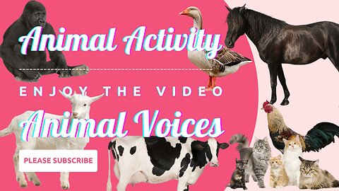 Animal Activity : Animal Voices