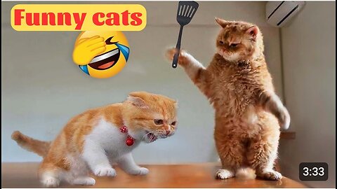 Funny animal 2023 - Funny Cats and Cute Kittens Playing Compilation - Part 1