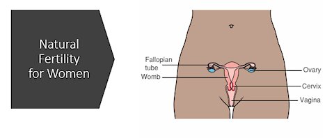 Infertility in Women - Natural Treatment