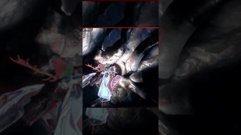 Warframe Still Suck at This