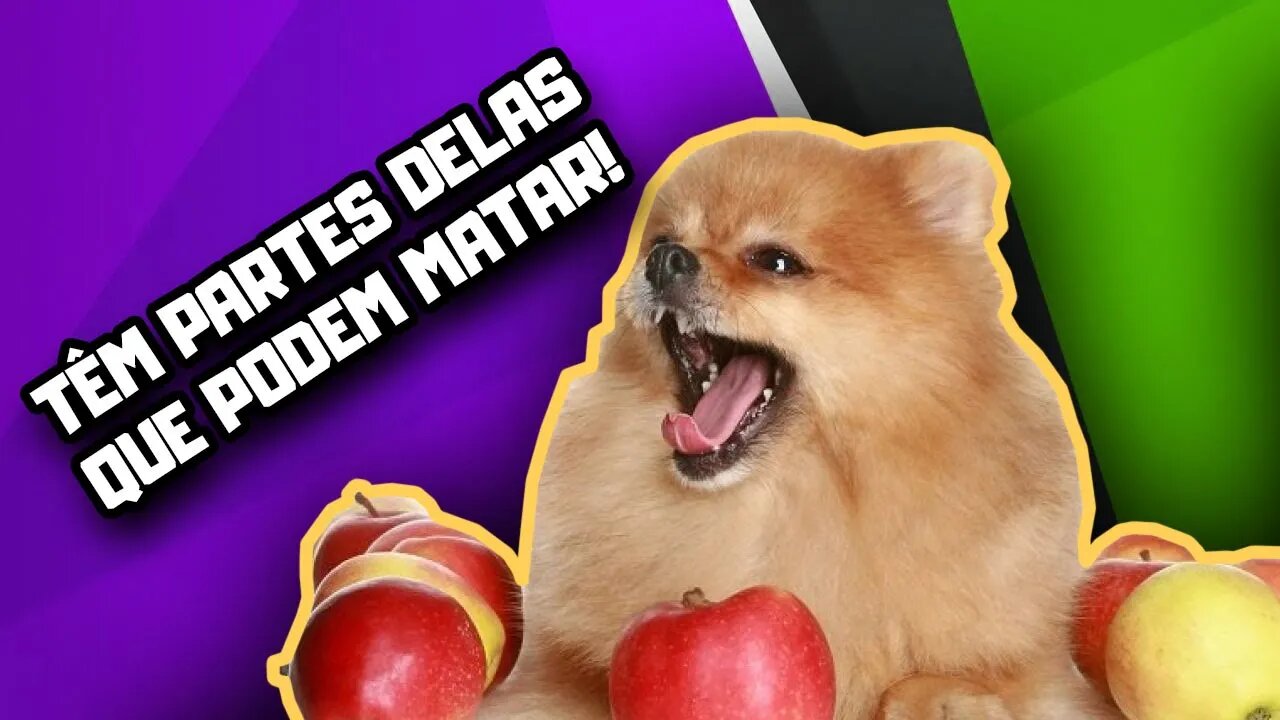 Cachorro pode comer Maçã? | Dr. Edgard Gomes | Alimentação natural para Cães