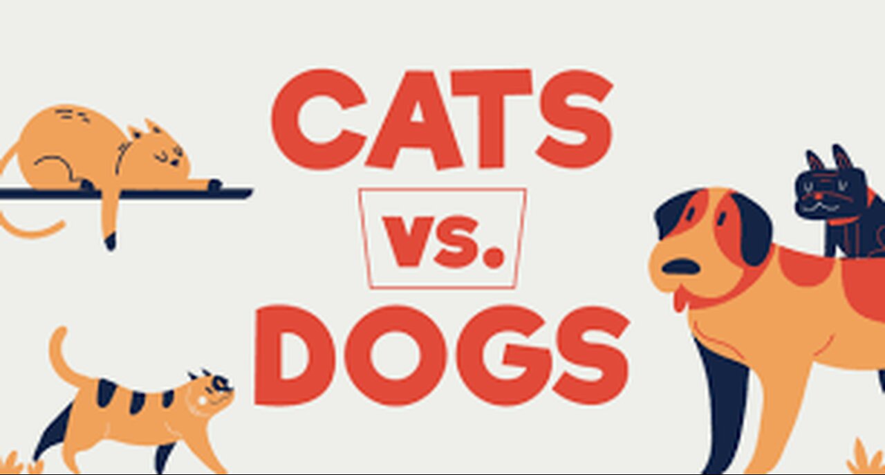 Meme Dog VS Cat...🤫