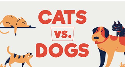 Meme Dog VS Cat...🤫