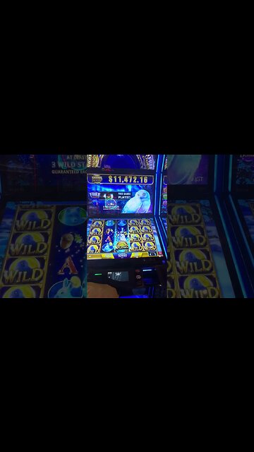 Owls 🦉 Haywire on Me!! #lasvegas #gambling #shorts