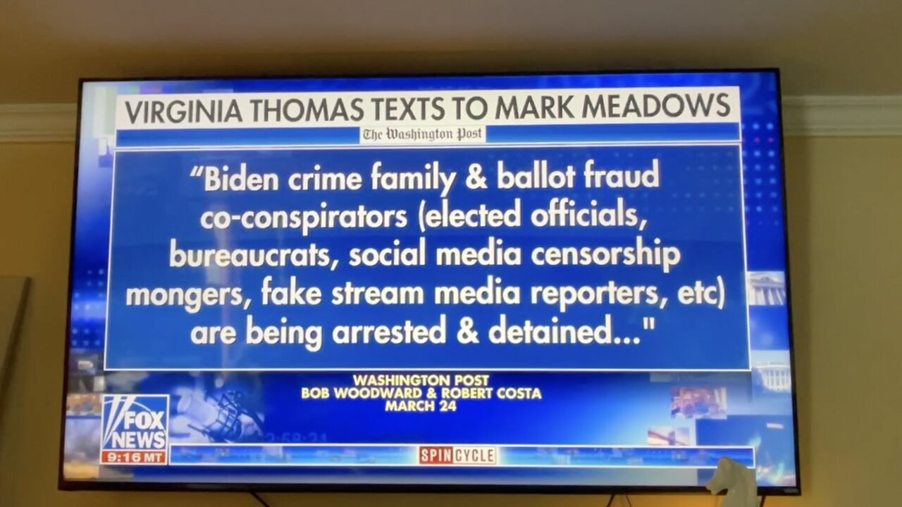 FOX NEWS - VIRGINIA THOMAS' NOV. 2020 TEXTS TO MEADOWS