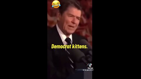 Democrats kittens