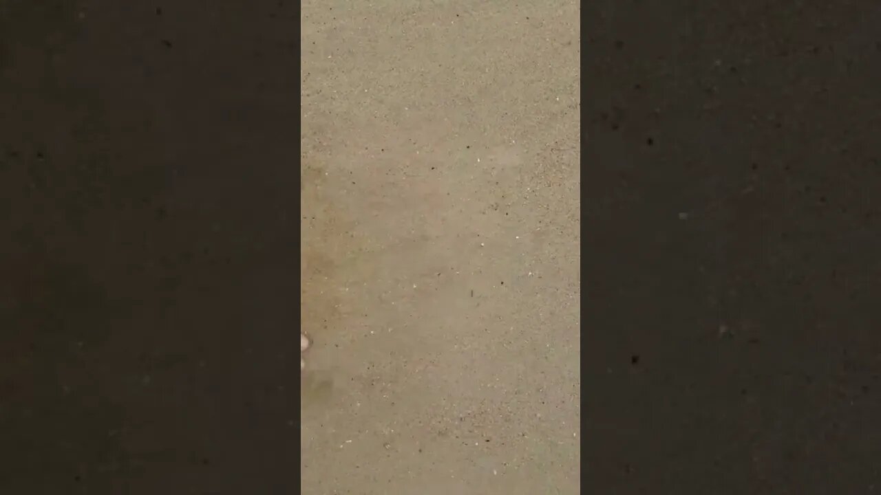 Água do mar tocando os pés. Que maravilha! #shorts