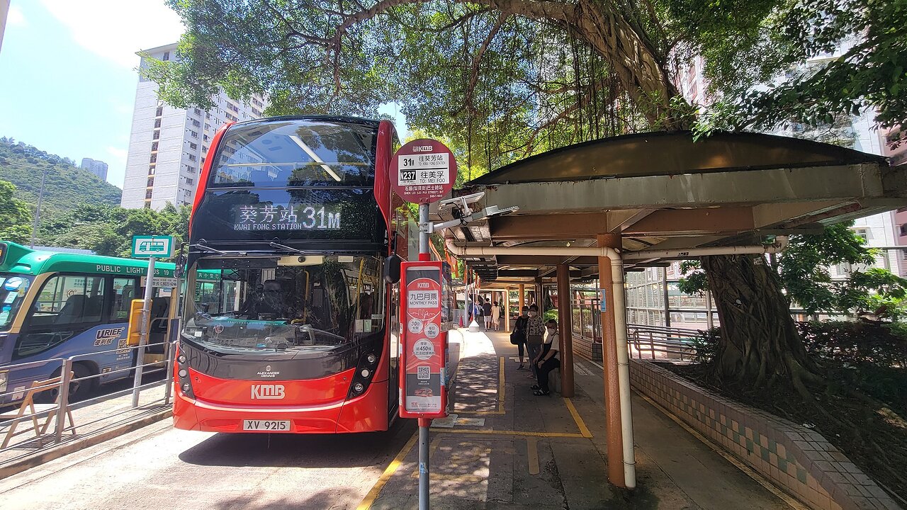 KMB Route 31M Shek Lei - Kwai Fong Station