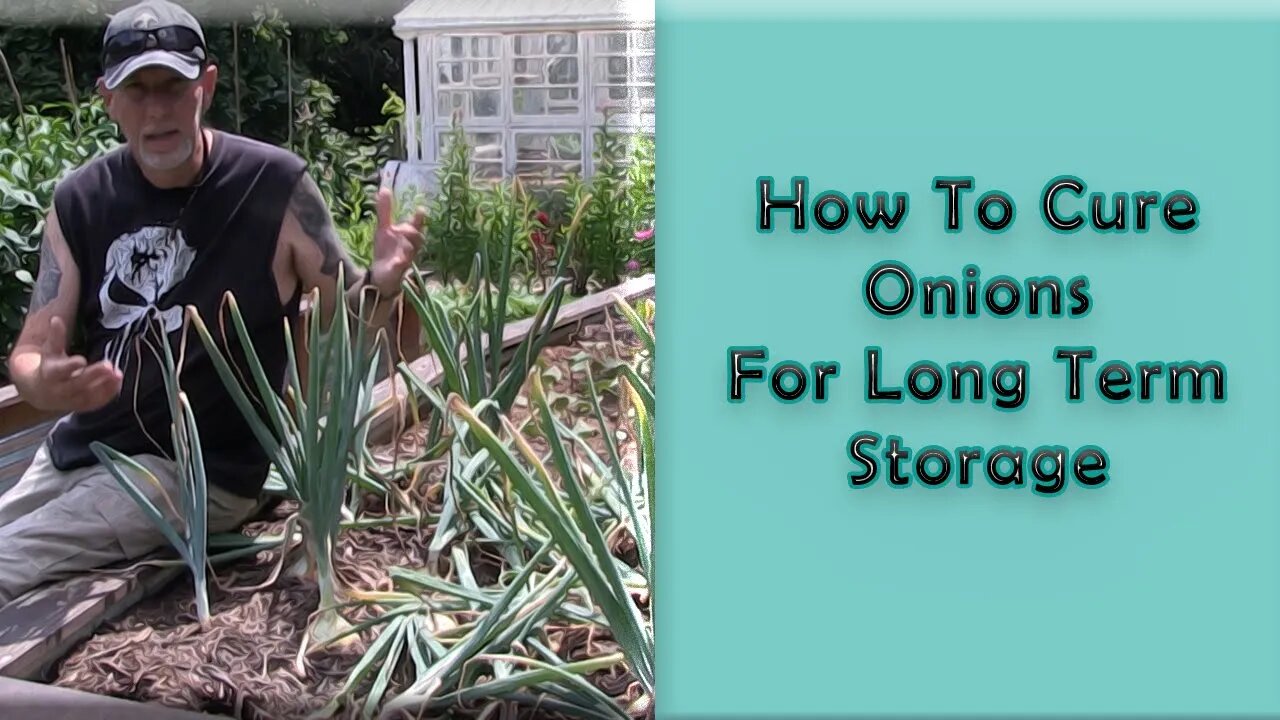 How To Cure Onions For Long Term Storage