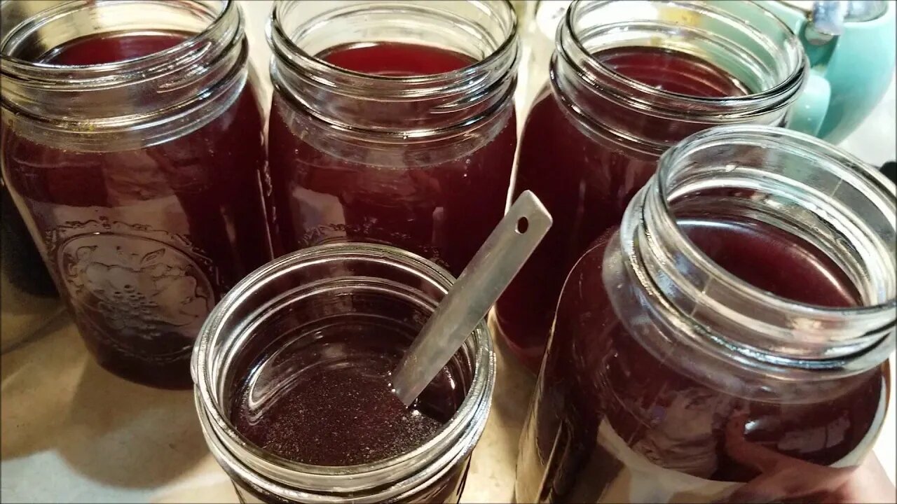 Almost effortless elderberry syrup!