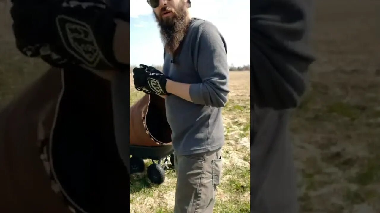 Vlogy #ohhighbud #vlog #strangedanimal