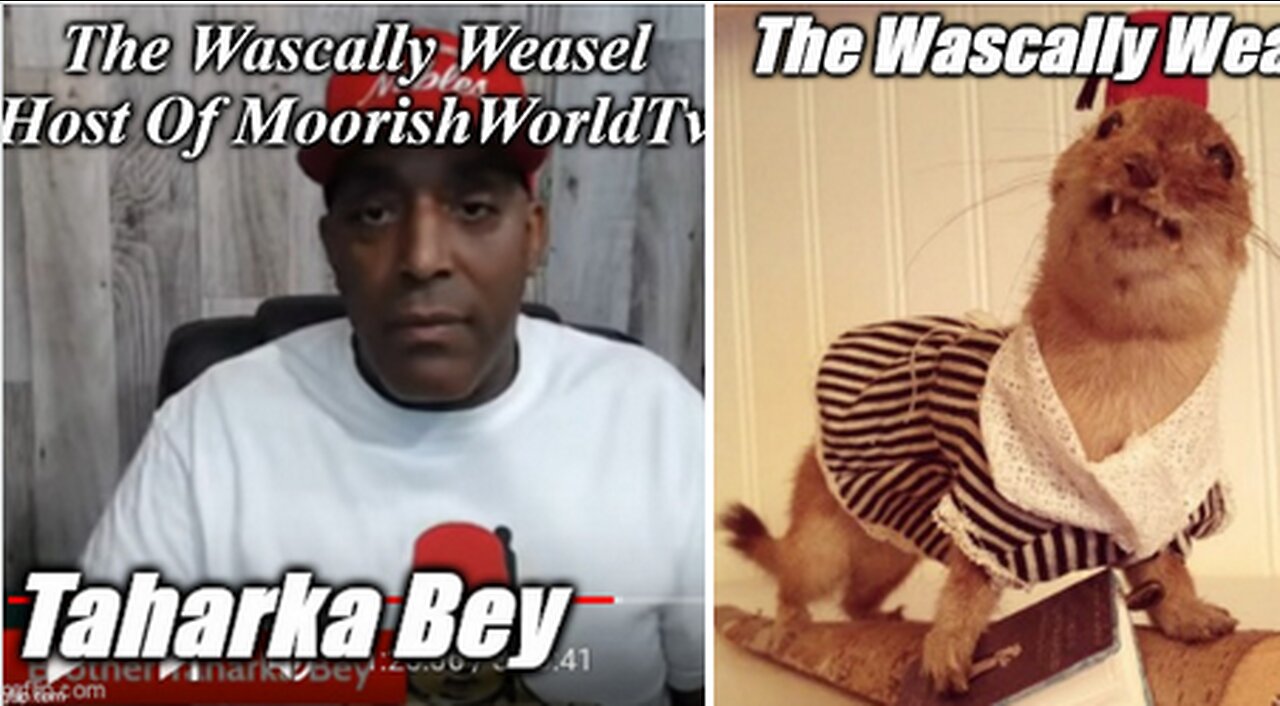 Angelsnupnup7 Brings MoorishWorldTv/Taharka Bey DOWN 2 Size !